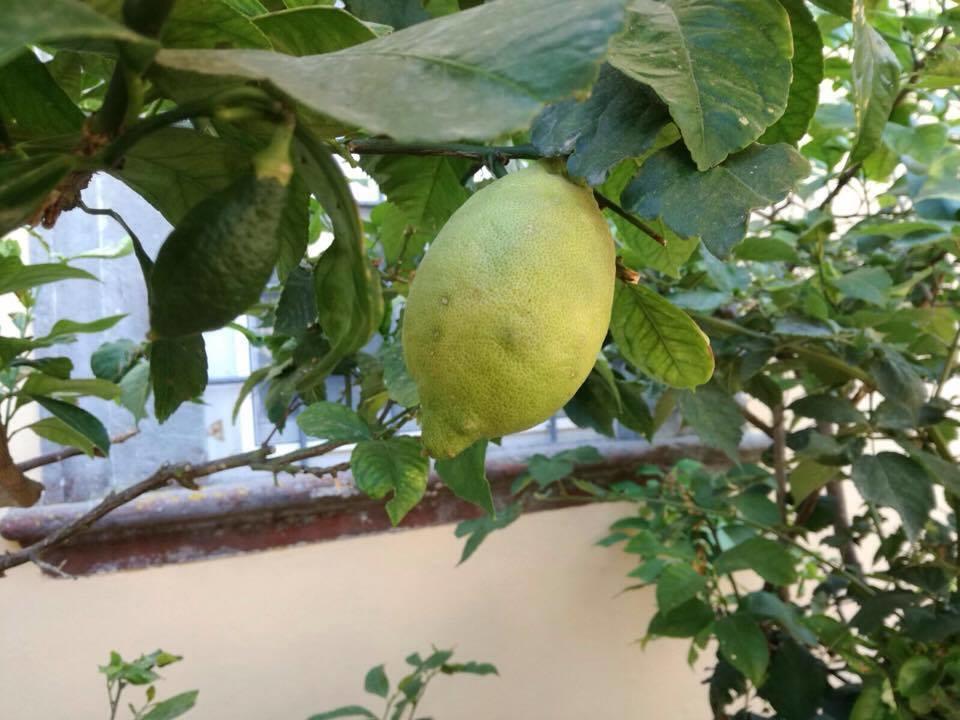 Pugnano Relais Villa Poschi المظهر الخارجي الصورة
